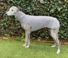 Zomerjumper streepjes grijs-wit