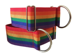 Halfslip Martingales  -  Regenboog