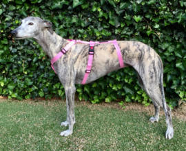 Veiligheidstuig Y-model ROZE