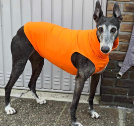 Zomershirtje effen oranje