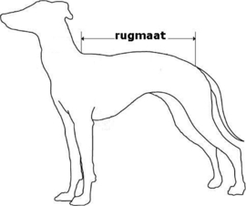 jas MAAT 60-65 cm - blauwe sterren