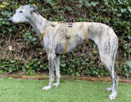 Veiligheidstuig Y-model BEIGE