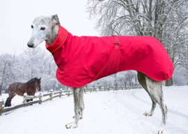 jas MAAT 66-70 cm - rood