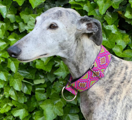 Halfslip Martingales  - ruiten in fuchsia-paars-lime