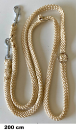 lijnen GOUDKLEUR
