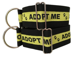 Halfslip Martingales "ADOPT ME"