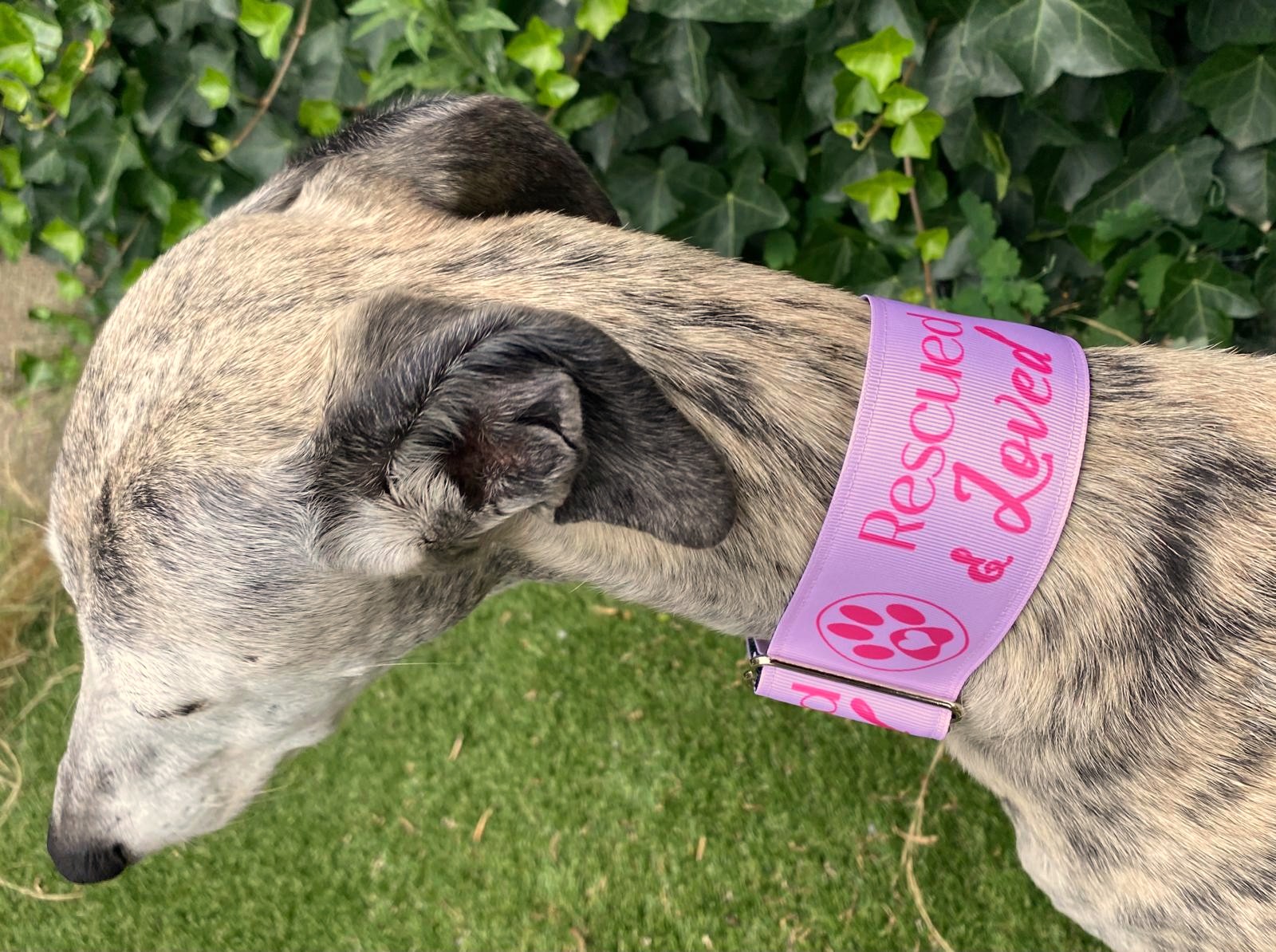 Halfslip Martingales - Rescued & Loved roze