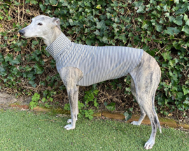 Katoenen shirtje streepjes grijs-wit