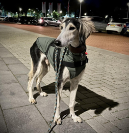 Zomershirtje effen legergroen