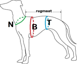 Veiligheidstuig Y-model OP MAAT