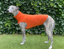 Katoenen shirtje effen oranje