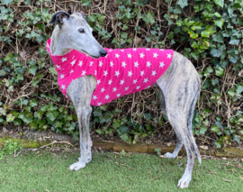 Zomershirtje sterren fuchsia