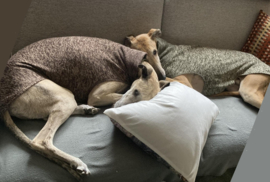 Jumper LEGERGROEN gemêleerd