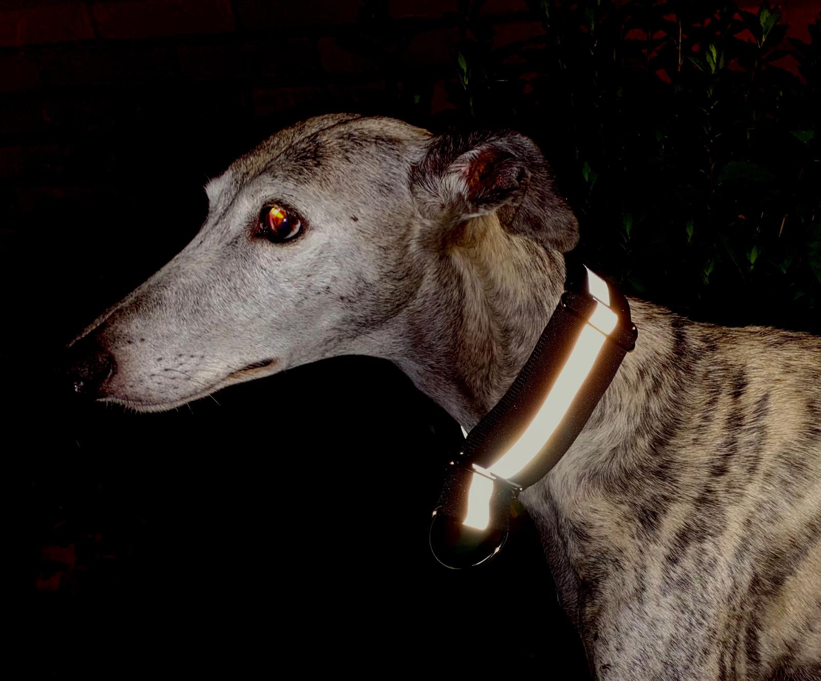 Halfslip Martingales  -  reflectie