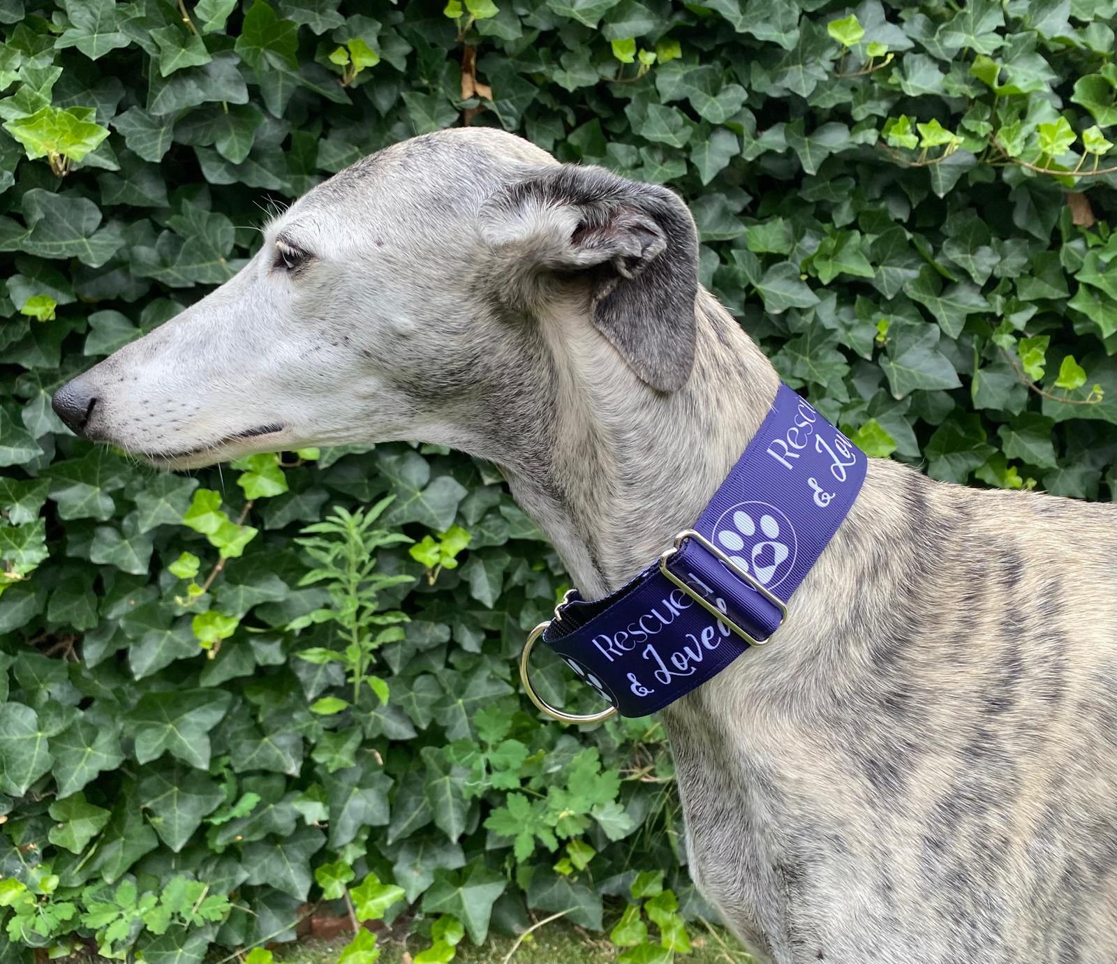Halfslip Martingales - Rescued & Loved blauw