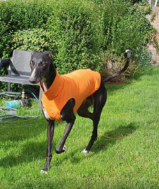 Zomershirtje effen oranje