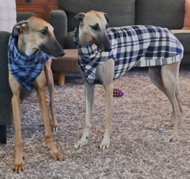 Fleece jumper ruit jeansblauw