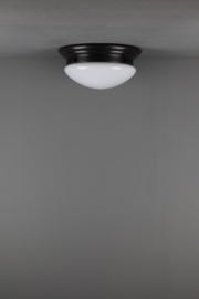 Plafondlamp Alpino