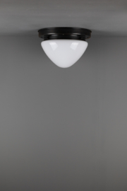 Plafondlamp halve bol