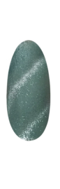 Long lastig UV Polish SATIN CAT EYE M13