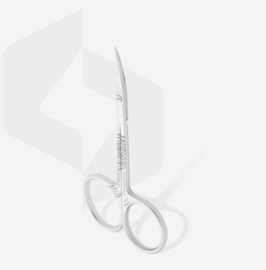 Professional cuticle scissors Staleks Pro Exclusive 22 Type 1 (Zebra)