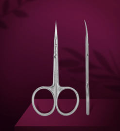 Professional cuticle scissors Staleks Pro Exclusive 22 Type 2 (Magnolia)