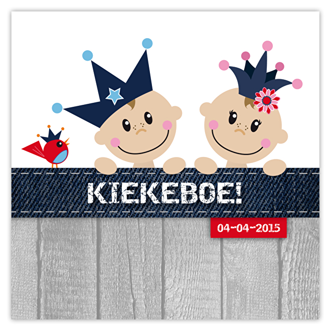 Geboortekaartjes Tweeling