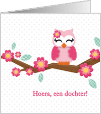 Felicitatie dochter uiltje meisje roze