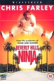 Beverly Hills Ninja (1997)