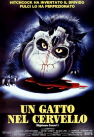 Un Gatto nel Cervello (1990) A Cat in the Brain, Nightmare Concert