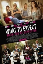 What to Expect When You`re Expecting (2012)