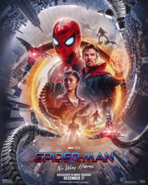 Spider-Man: No Way Home (2021)