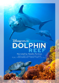 Blue (2018) Disneynature: Blue | Dolphin Reef | Disneynature: Dolphin Reef | Dolphins | Disneynature: Dolphins