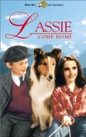 Lassie Come Home (1943) Lassie Komt Thuis