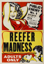 Tell Your Children (1936) Reefer Madness, The Burning Question, Dope Addict