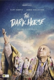 The Dark Horse (2014)