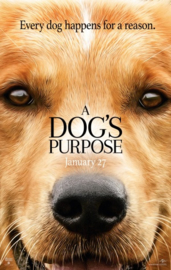 A Dog's Purpose (2017)