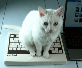 catPad : design kussentje voor de kat.