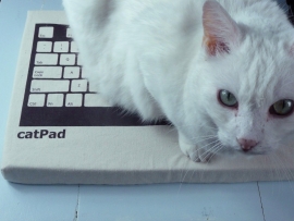catPad : design kussentje voor de kat.