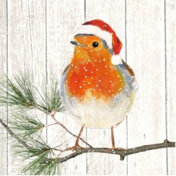 Servet -  robin on X-mas tree - PPD