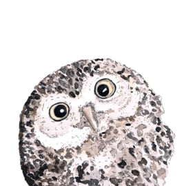 Servet - owl - PPD