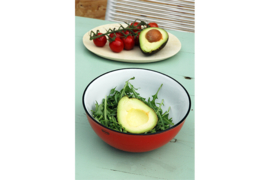 Saladeschaal - salad bowl - rood - Cabanaz