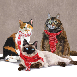 Servet - scarf cats - PPD
