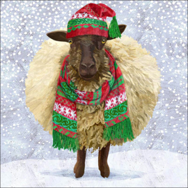 Servet - winter wool - PPD