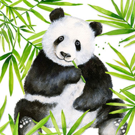 Servet - tropical panda - PPD