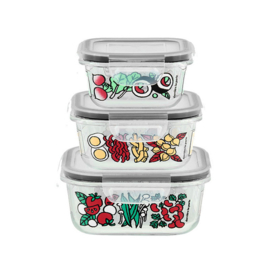 Glazen vershoudbakjes - set van 3 - bols de conservation régalade - Derriere la porte