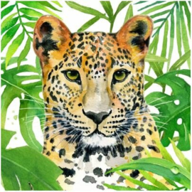 Servet - tropical leo - PPD