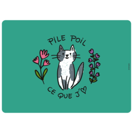 Placemat poes - pile poil - Derriere la porte