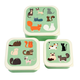 Snackboxen - set 3 stuks - poezen - nine lives - Rex London