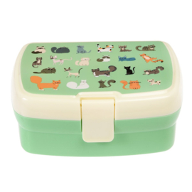 Lunchbox met tray - katten - nine lives - Rex London